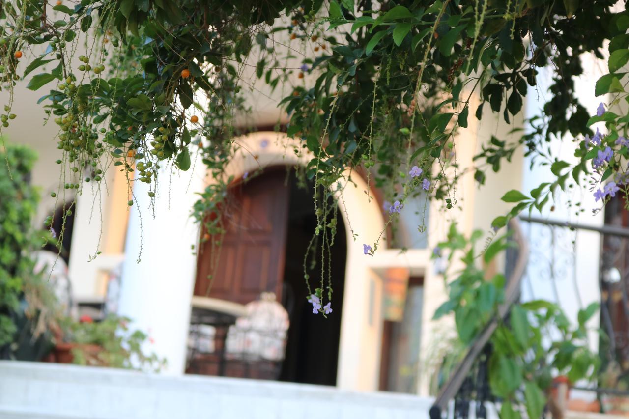 Meryem'S Hotel Agios Epiktitos Eksteriør billede